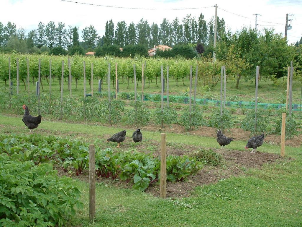 Chateau Du Beugnon Bed & Breakfast Tigne Luaran gambar